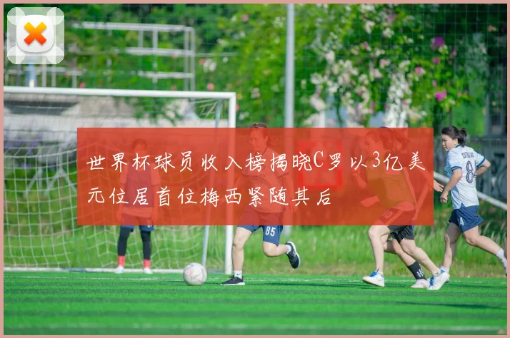 世界杯球员收入榜揭晓C罗以3亿美元位居首位梅西紧随其后