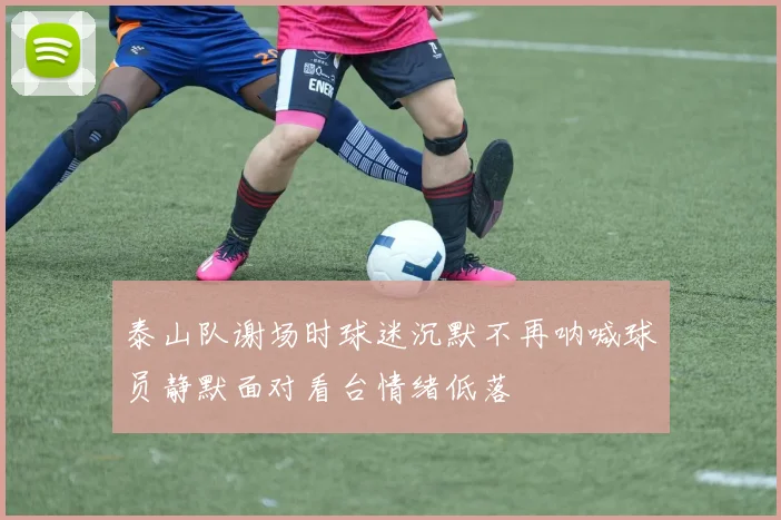 泰山队谢场时球迷沉默不再呐喊球员静默面对看台情绪低落